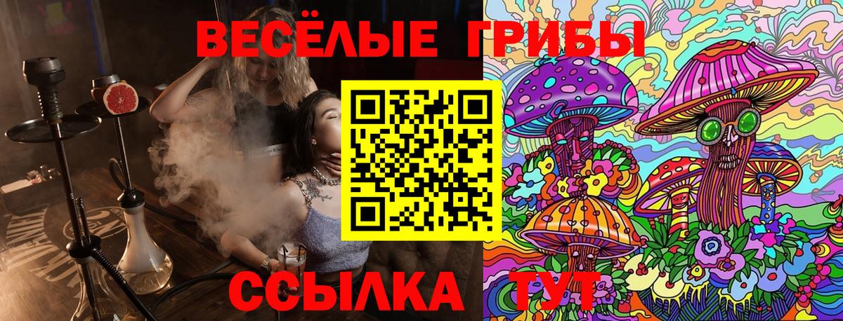 Псилоцибиновые грибы GOLDEN TEACHER  Галлюциногенные грибы Psilocybine cubensis  Вход с VPN  Гусиноозёрск 