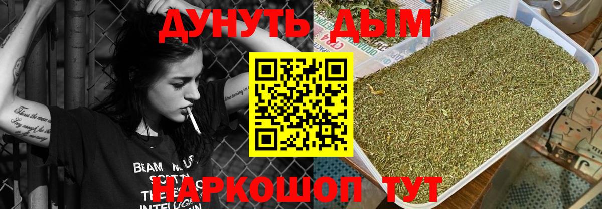 Бошки марихуана White Widow Гусиноозёрск